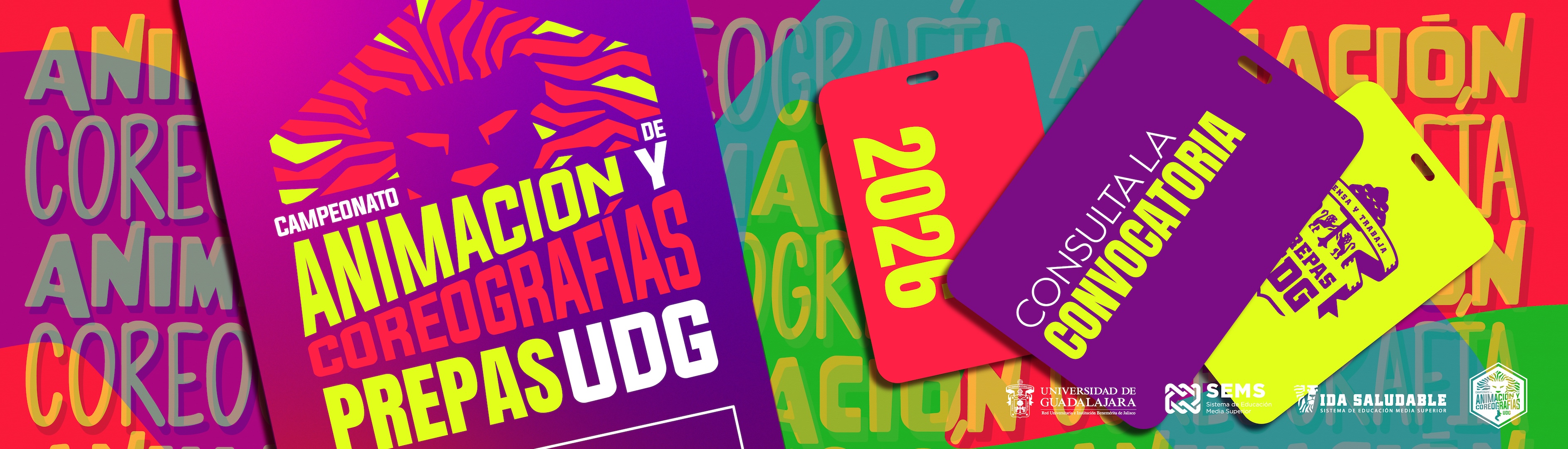 Campeonato d Animación